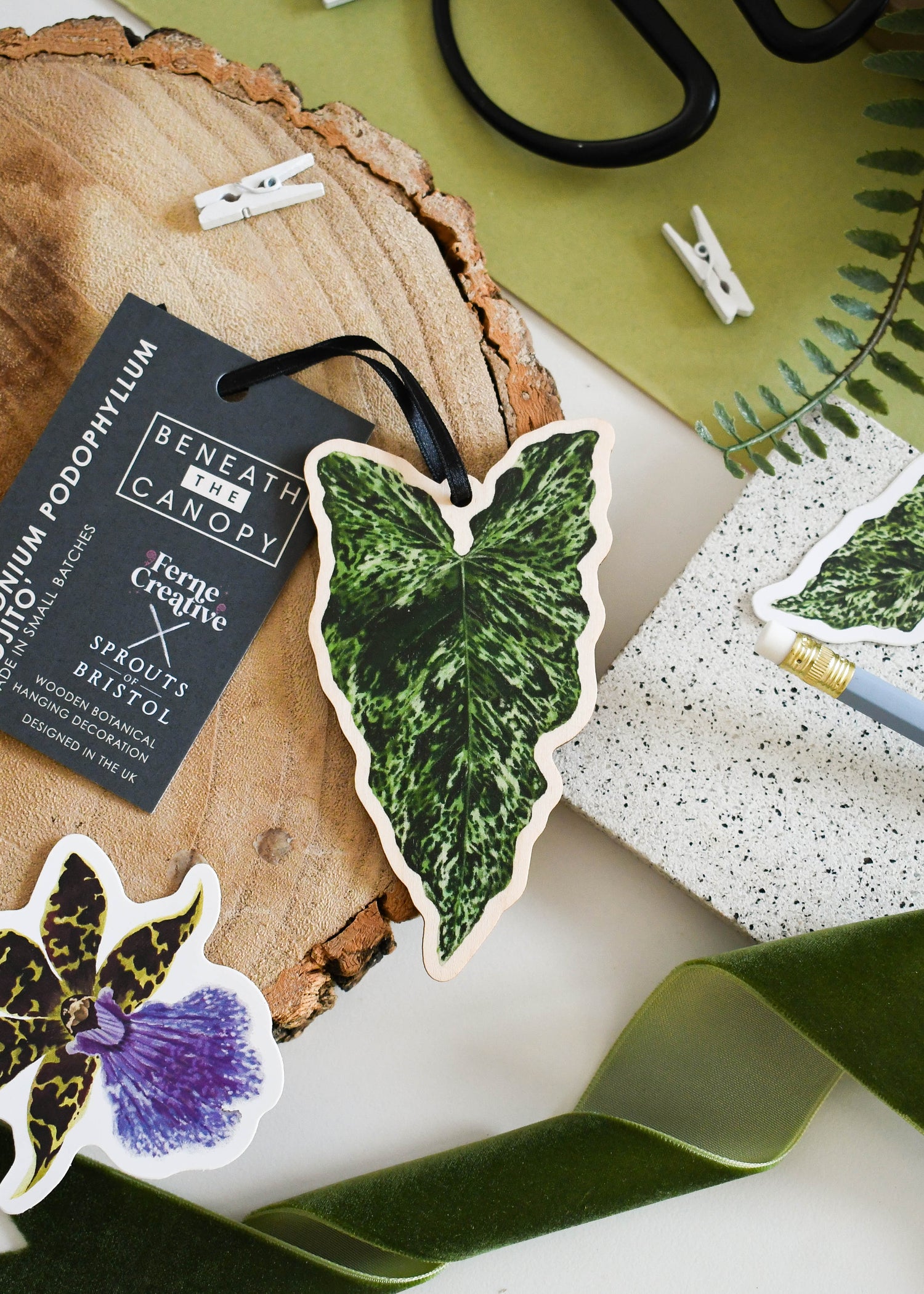 Ferne Creative Collaborations