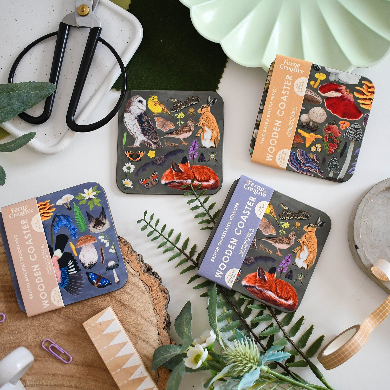 Wooden Coaster Bundles – Wildlife Illustrated Sets