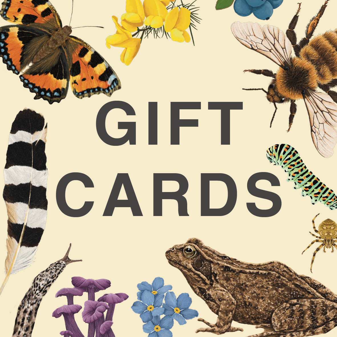 Ferne Creative Gift Vouchers – The Perfect Choice for Nature Lovers
