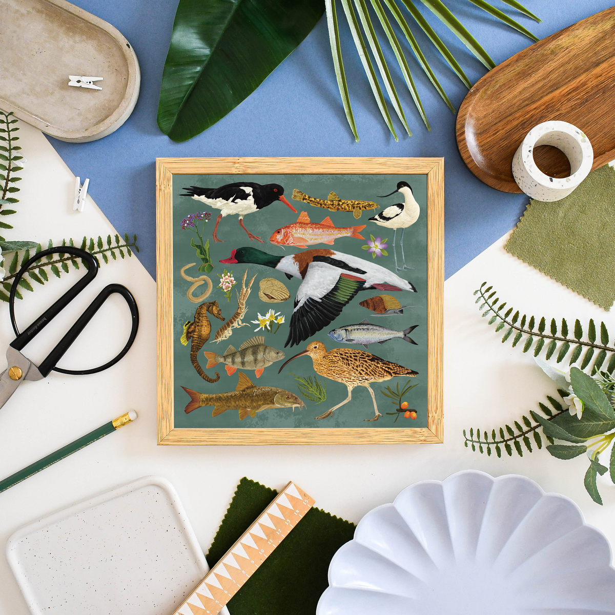 Wildlife Print Collections