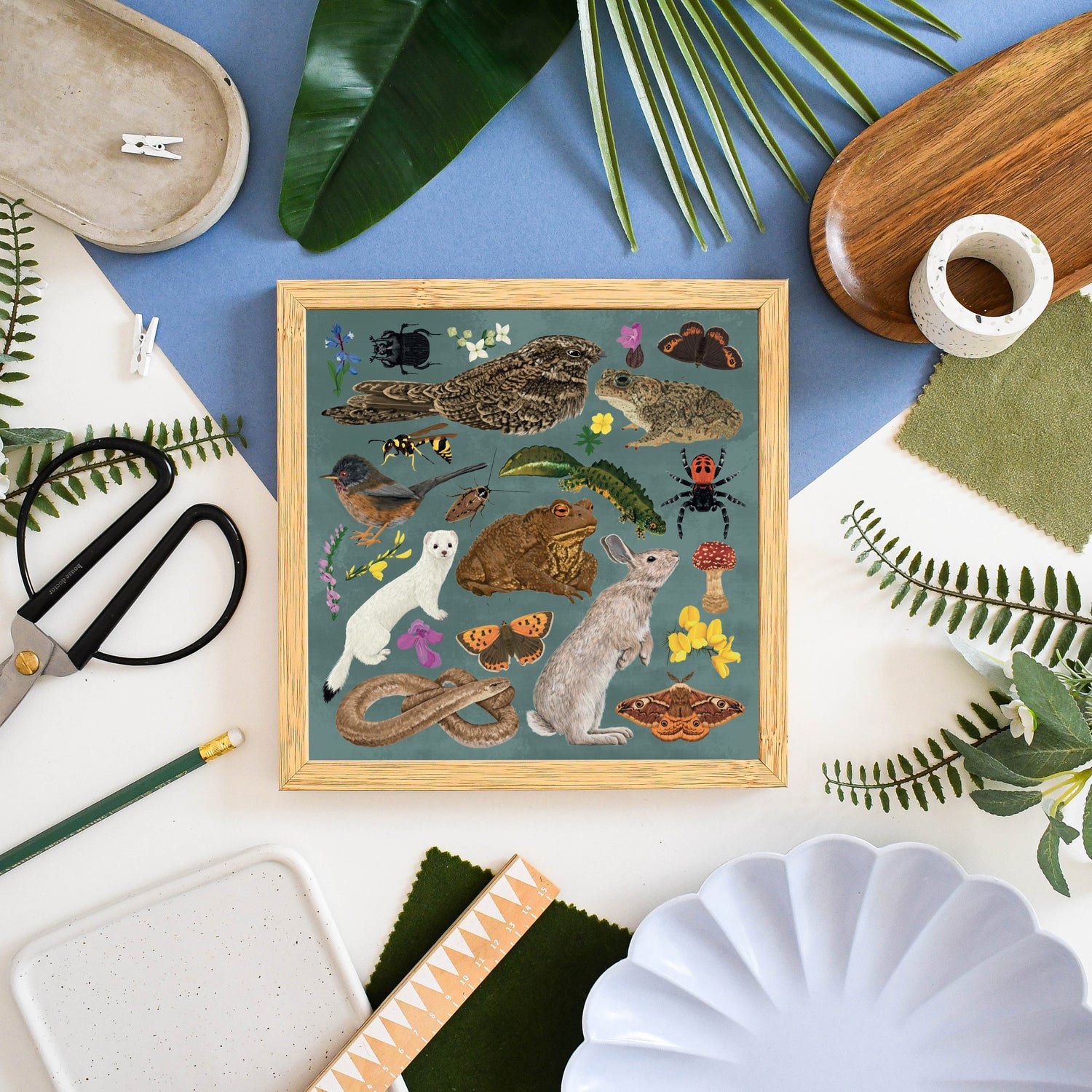 Wildlife Gifts Under £30