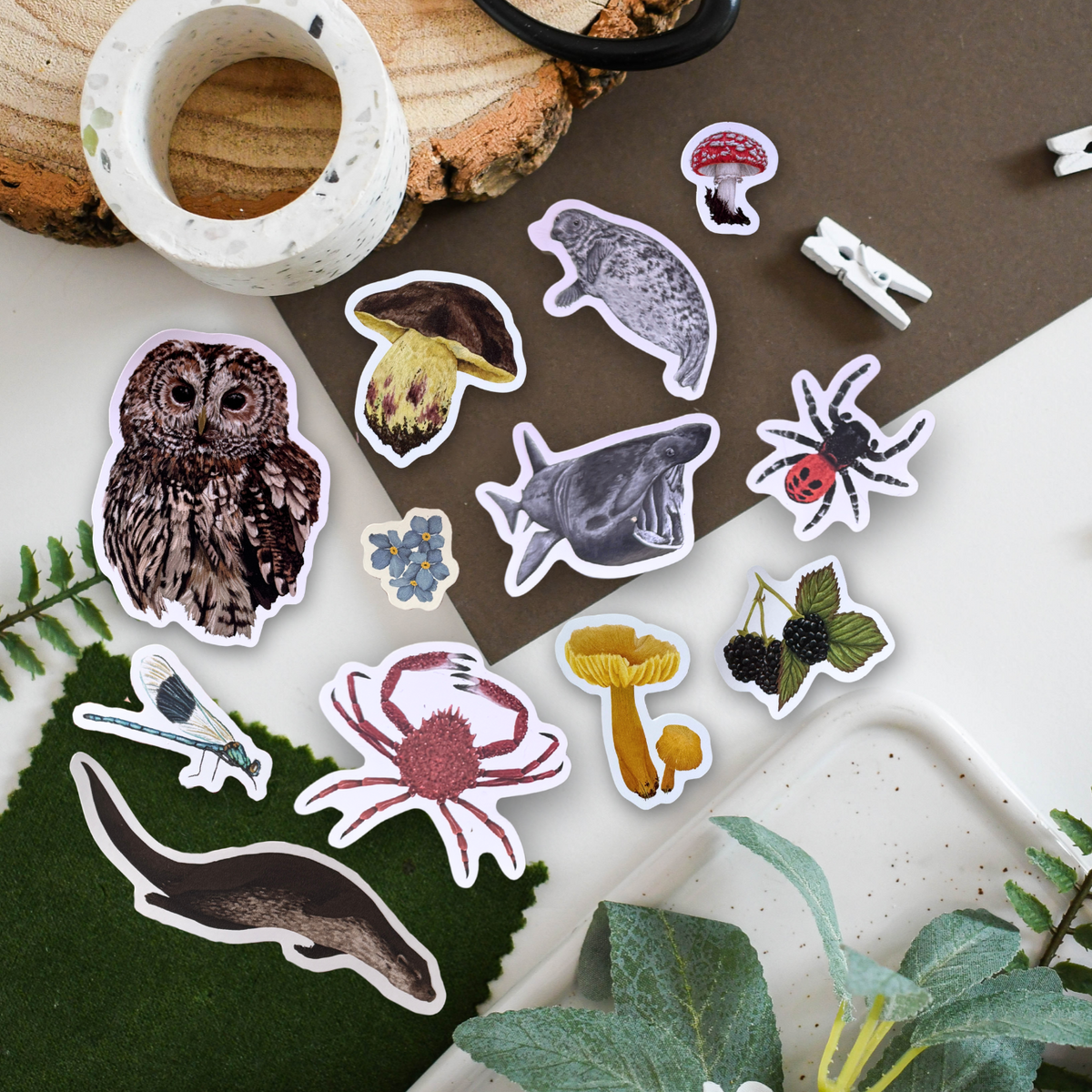 Set of nature-themed stickers on a wooden surface with plants.