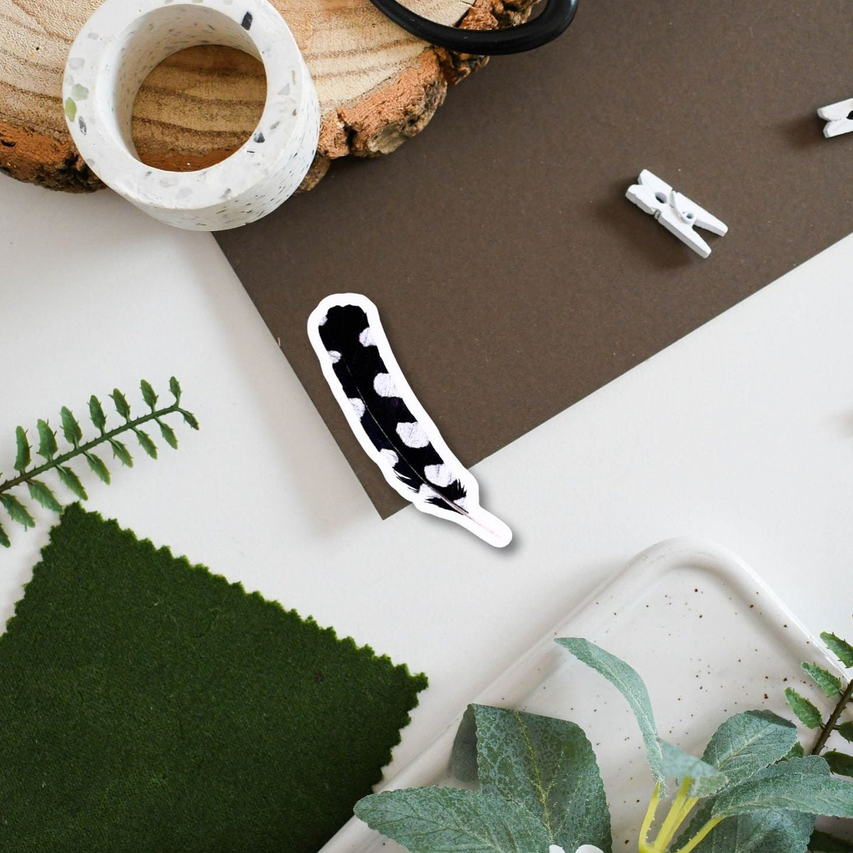 Spotted woodpecker feather surrounded by black scissors, and greenery on a wooden surface.