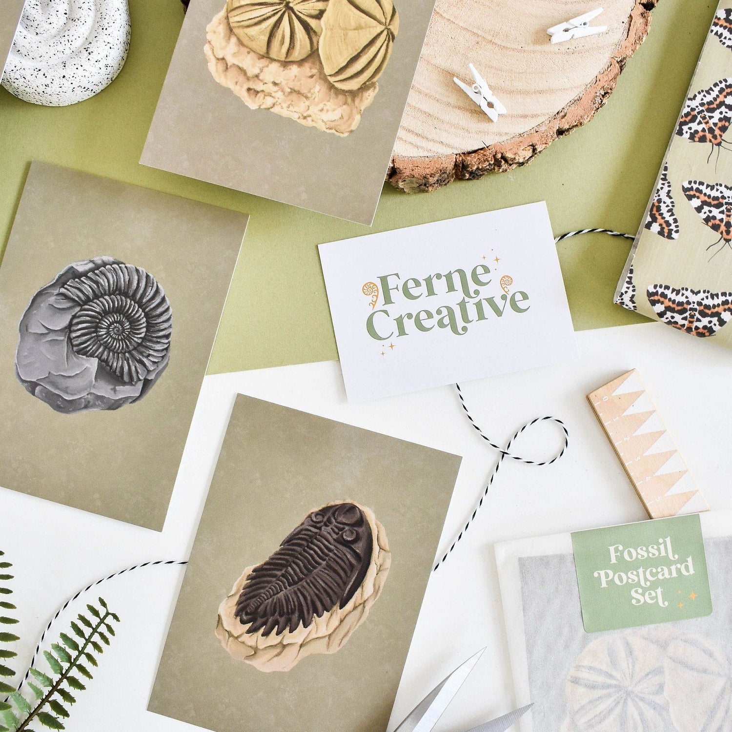 Fossil Illustrated Products