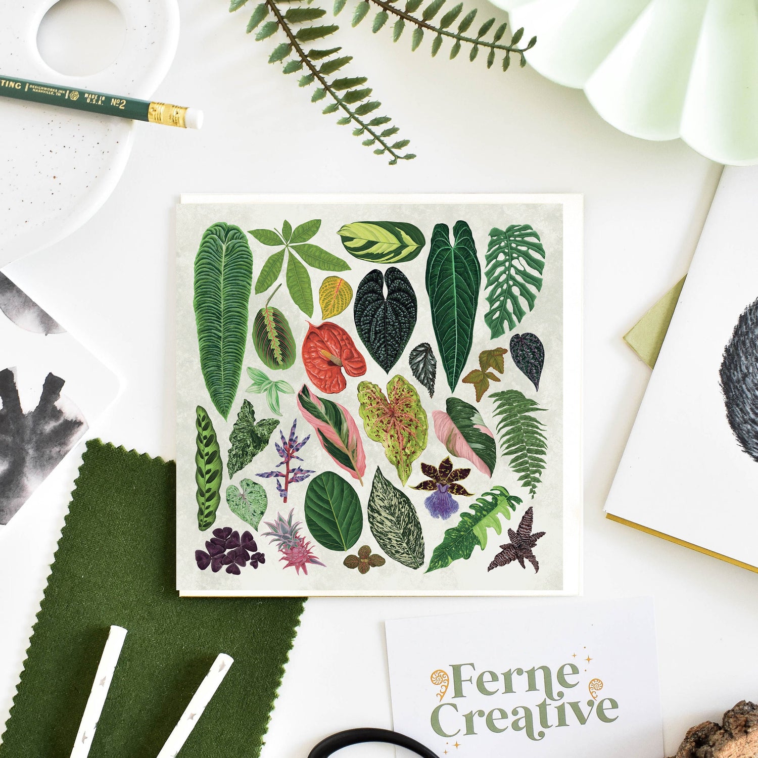 Beneath the Canopy Cards – Amazon Rainforest & Houseplant Designs