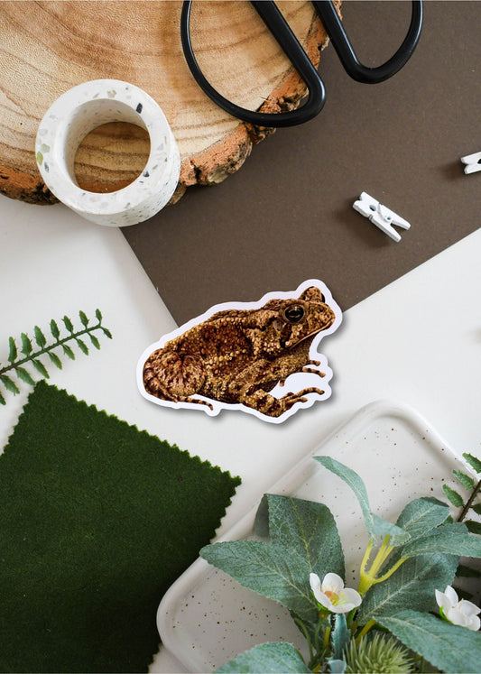 Common Toad Vinyl Sticker