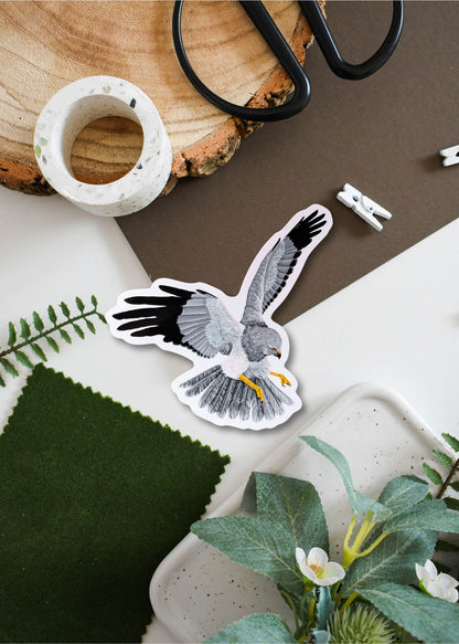 Hen Harrier Vinyl Sticker