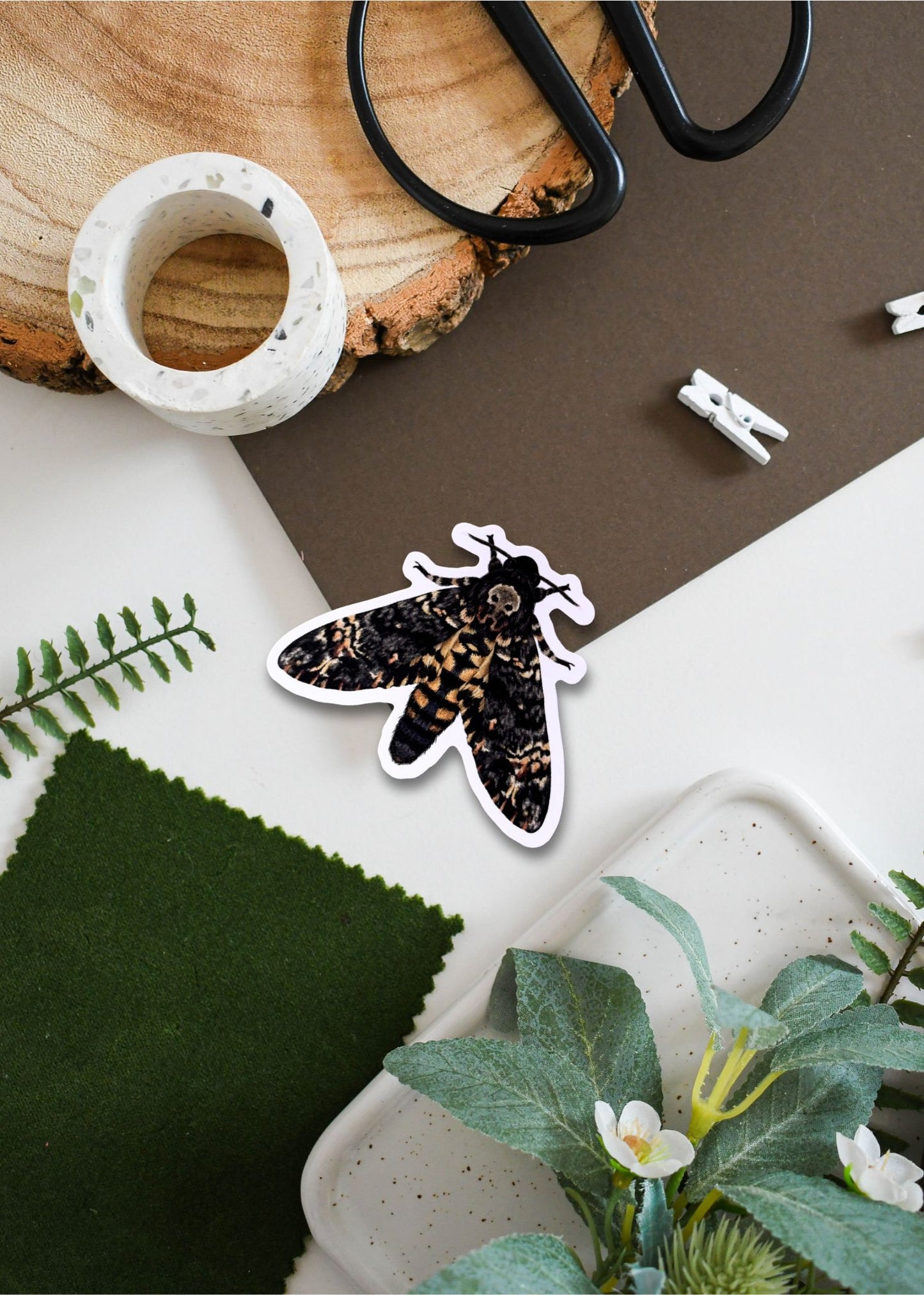 Deaths Head Hawk-moth Vinyl Sticker