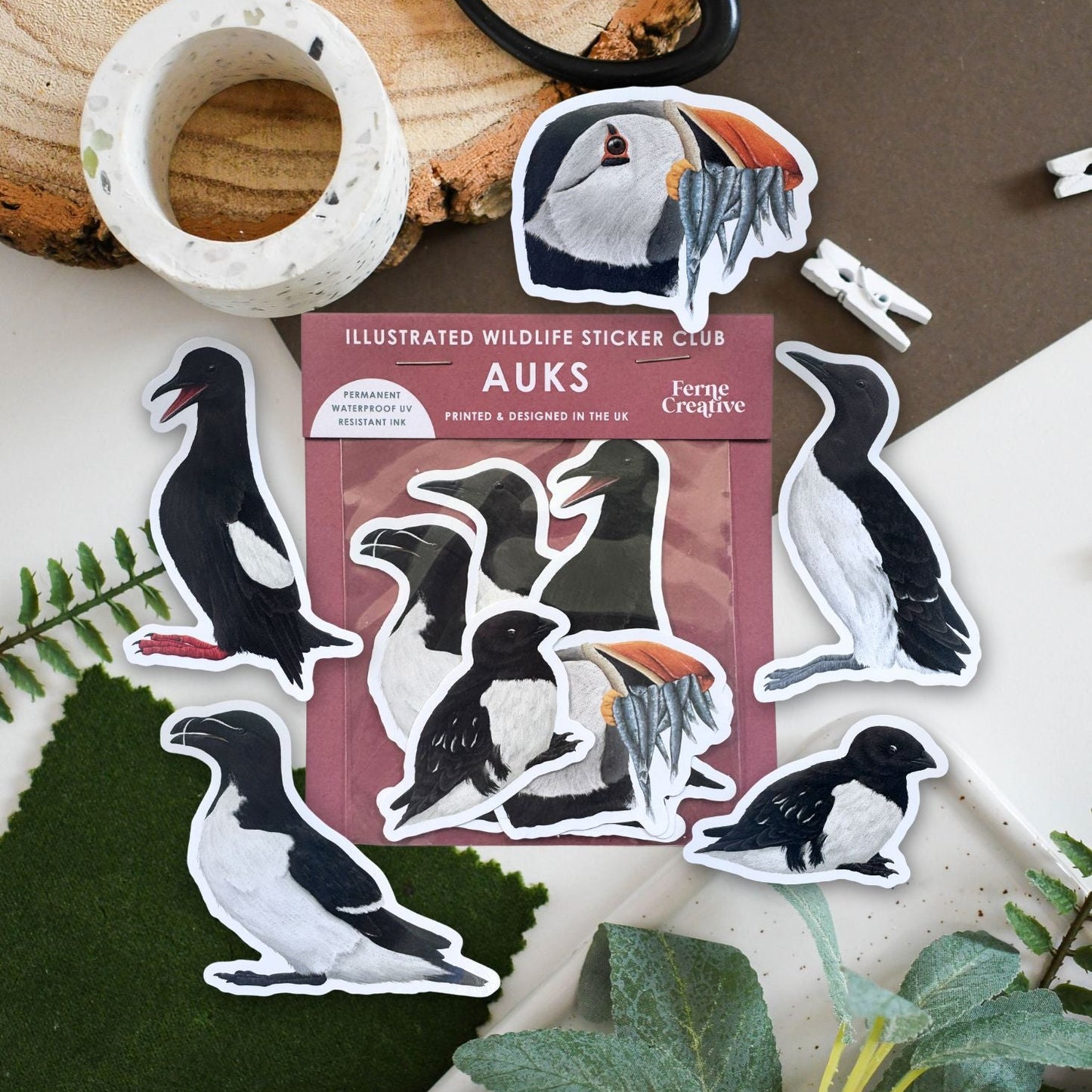 Illustrated wildlife sticker club for auks with penguin stickers on a natural background