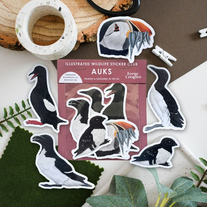 Illustrated wildlife sticker club for auks with penguin stickers on a natural background