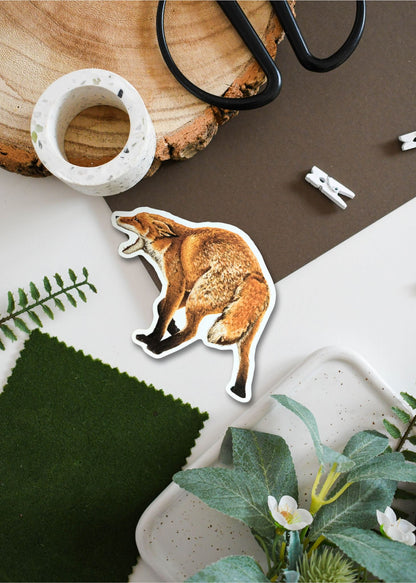 Barking Red Fox Vinyl Sticker