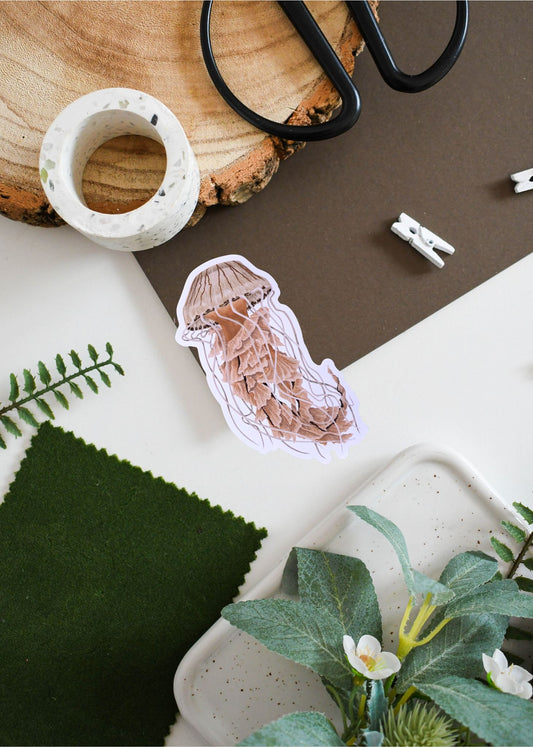 Compass Jellyfish Vinyl Sticker