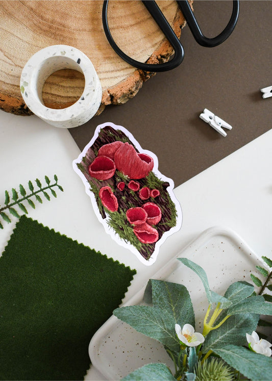 Scarlet Elf Cup Fungi Sticker