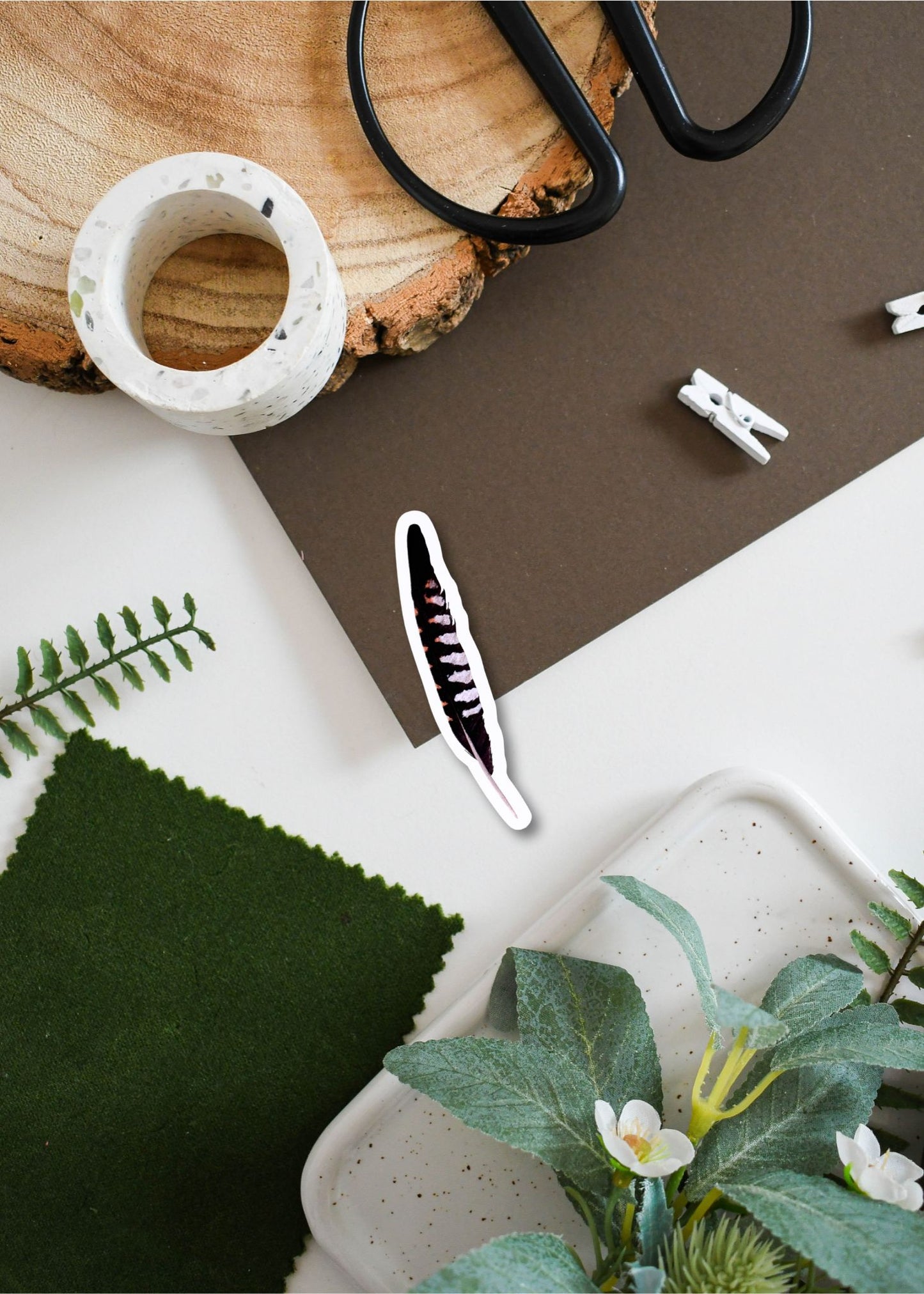 Common Cuckoo Feather Vinyl Sticker