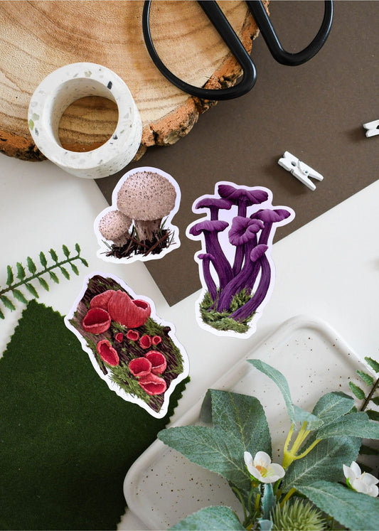 Fungi Vinyl Sticker Bundle