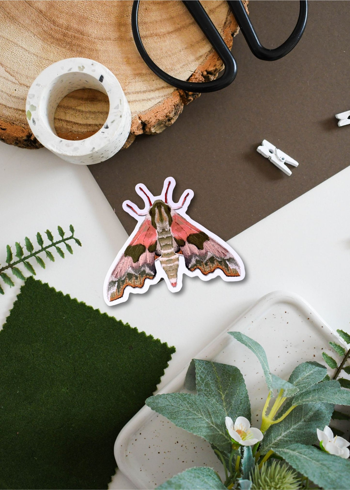 Lime Hawk-Moth Vinyl Sticker