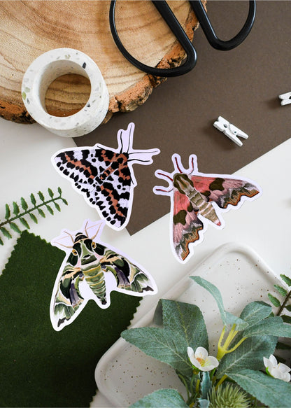 British Moth Vinyl Sticker Bundle
