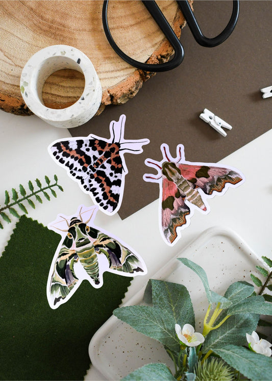 British Moth Vinyl Sticker Bundle