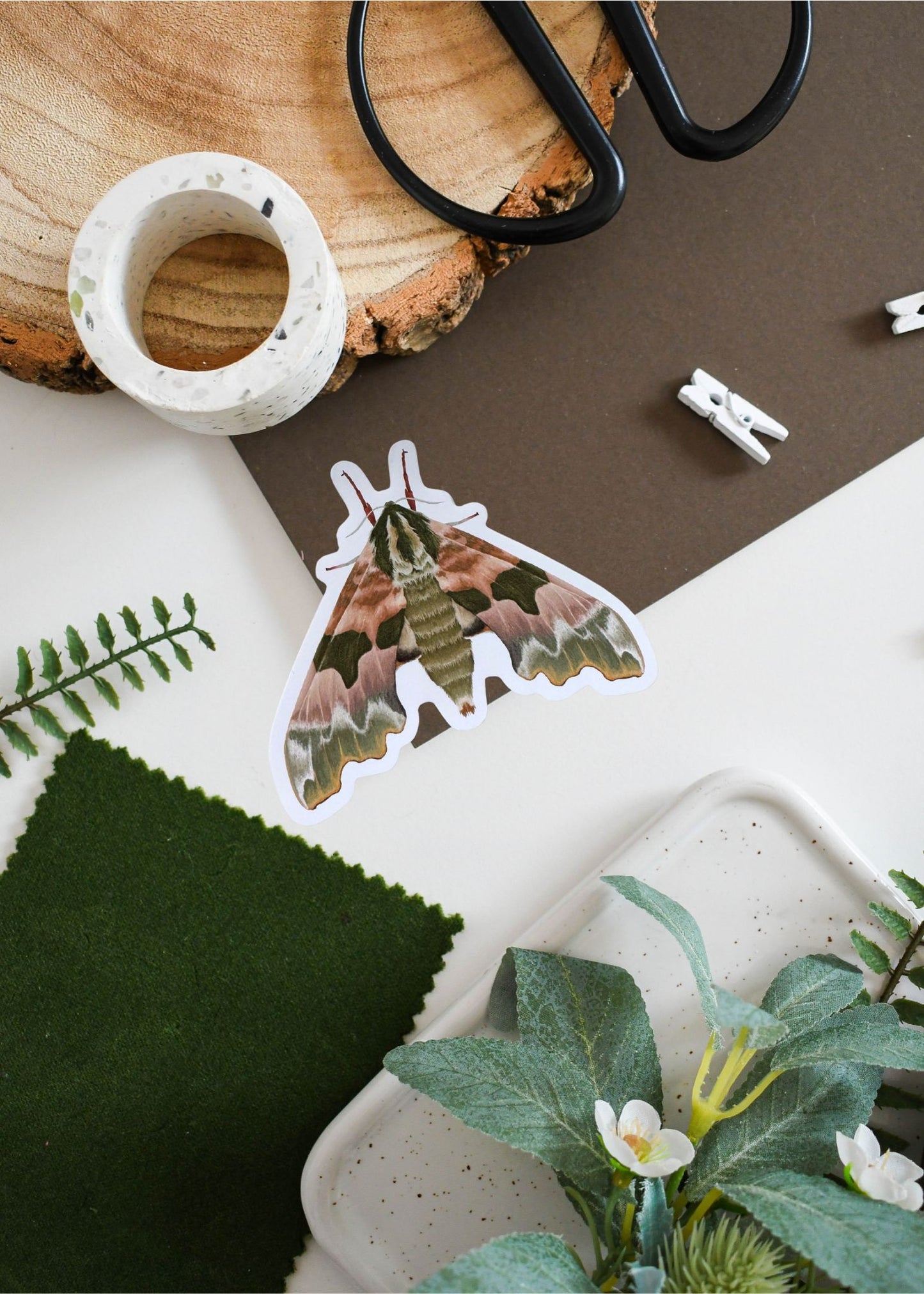 Lime Hawk-Moth Vinyl Sticker