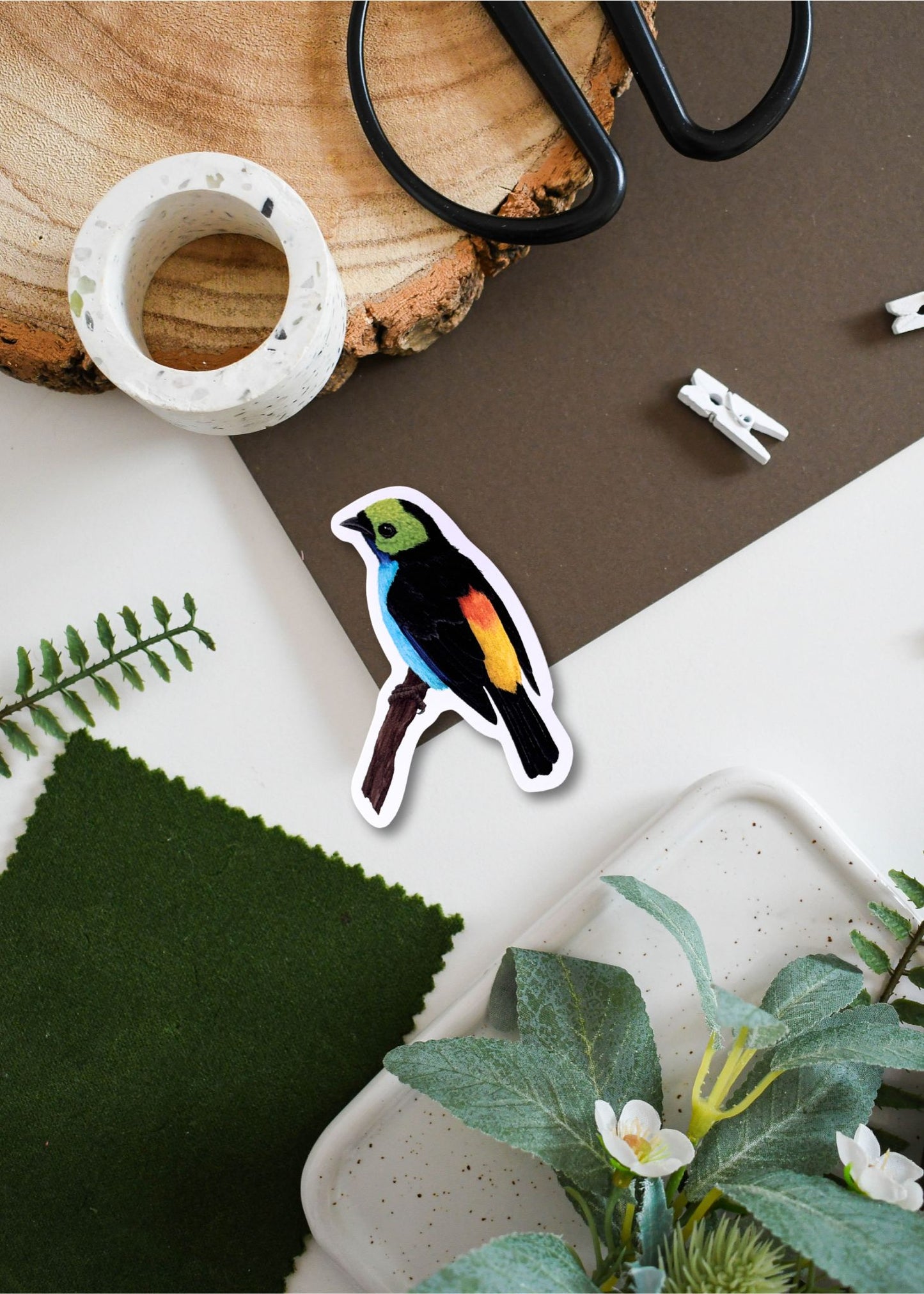 Paradise Tanager Vinyl Sticker