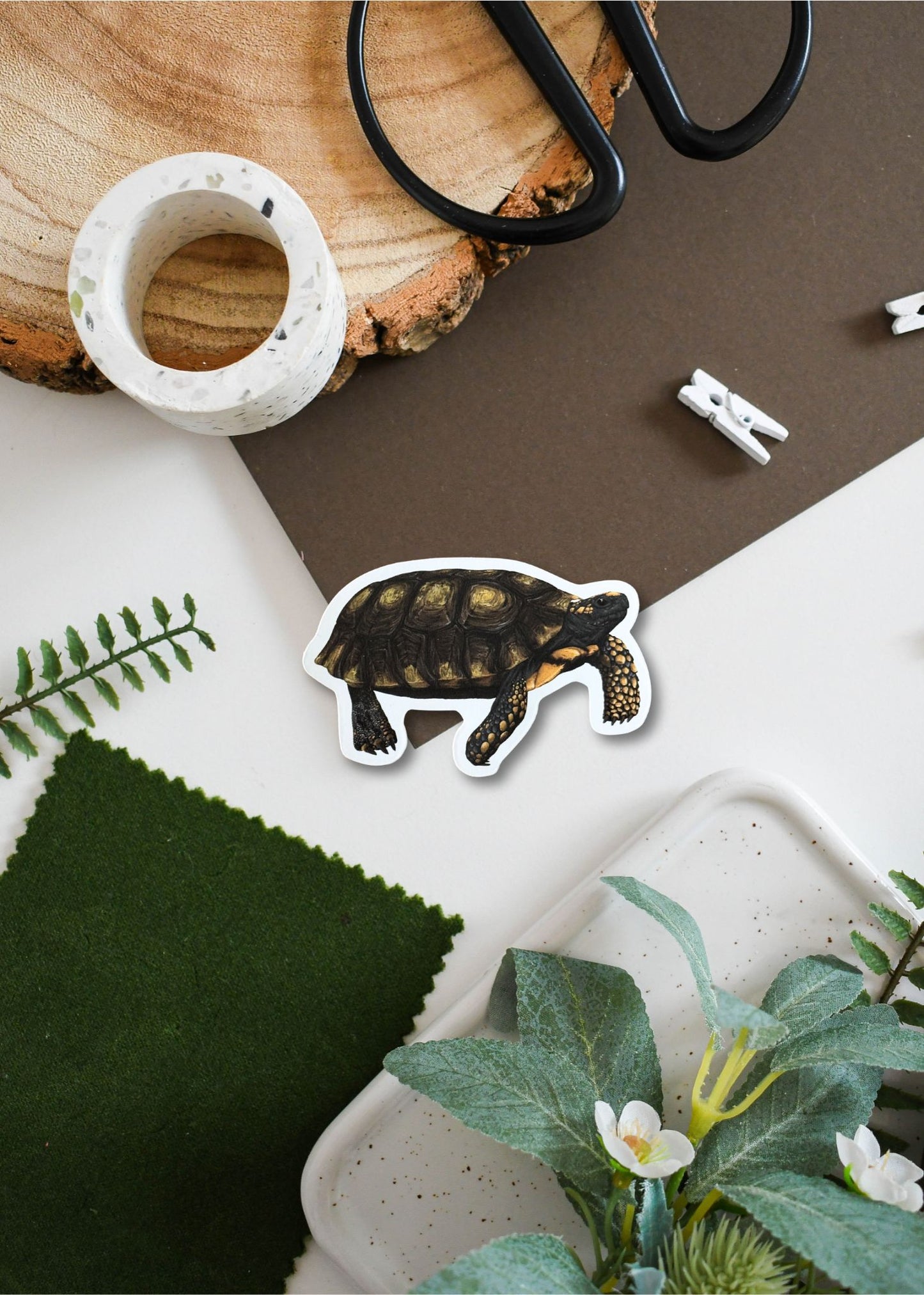 Yellow-Footed Tortoise Vinyl Sticker