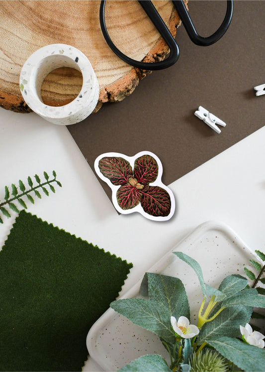Fittonia Vinyl Sticker