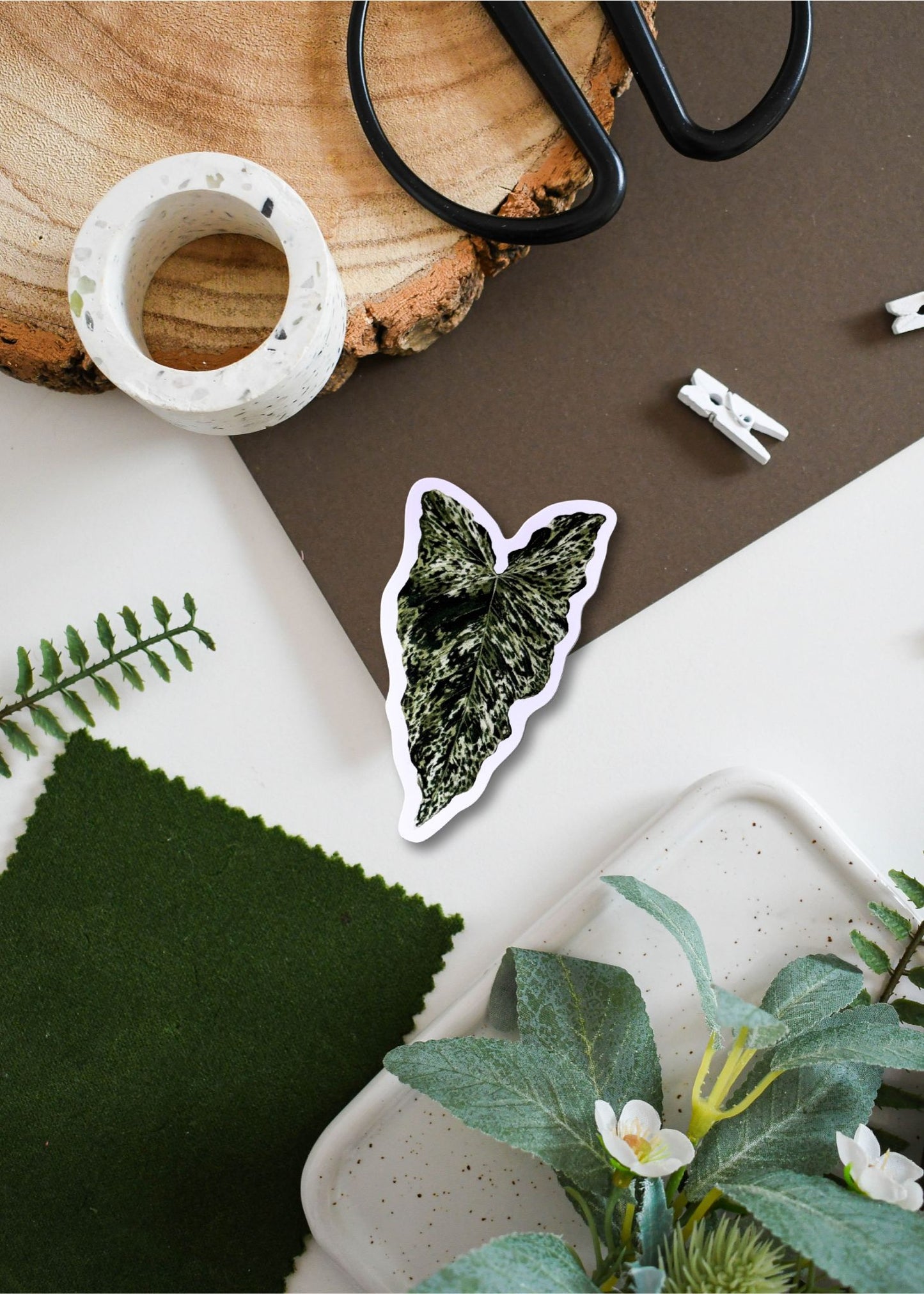 Syngonium podophyllum ‘Mojito’ Vinyl Sticker