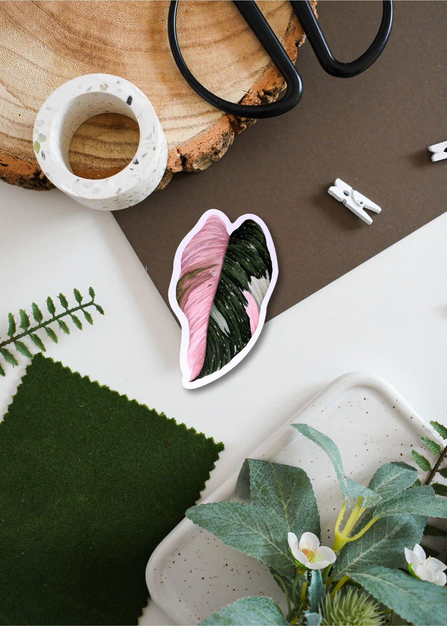 Philodendron ‘Pink Princess’  Vinyl Sticker