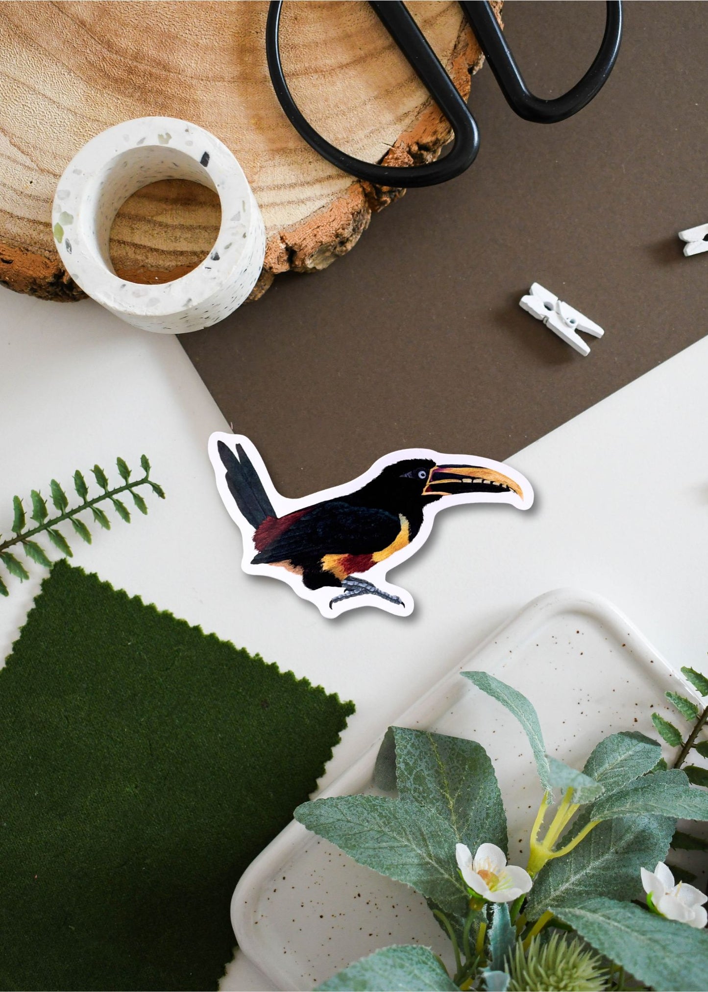 Chestnut-Eared Aracari Vinyl Sticker