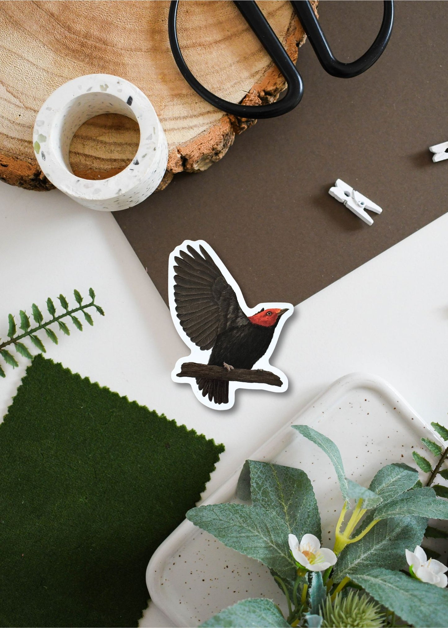 Red-headed Manakin Vinyl Sticker