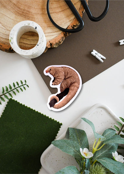 Silky Anteater Vinyl Sticker