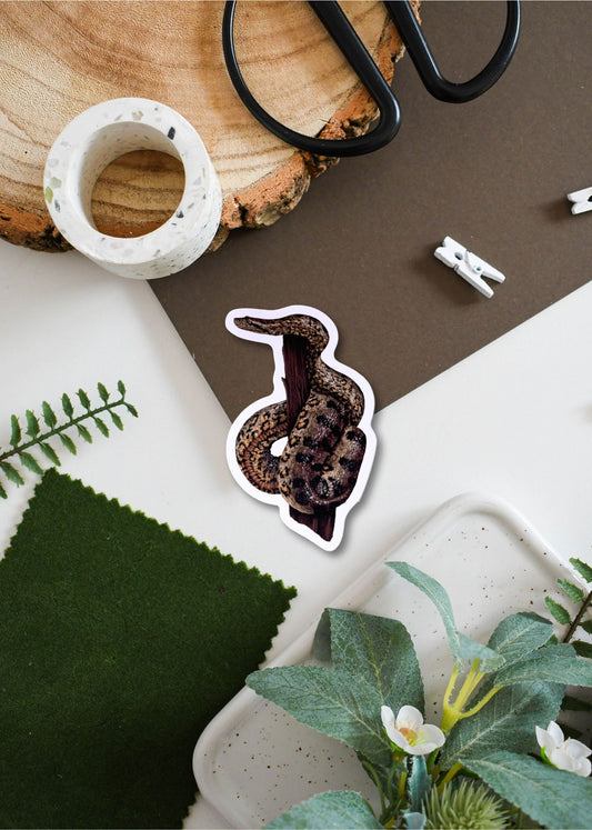 Green Anaconda Vinyl Sticker