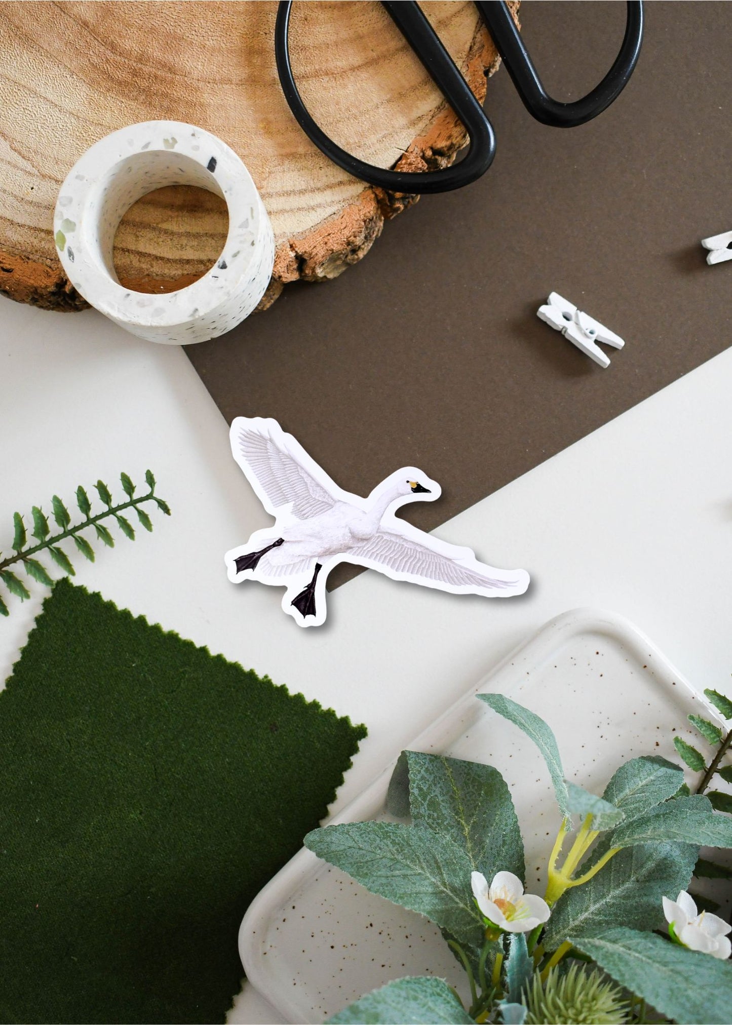 Bewick Swan Vinyl Sticker