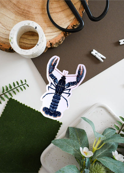 Common European Lobster Vinyl Sticker