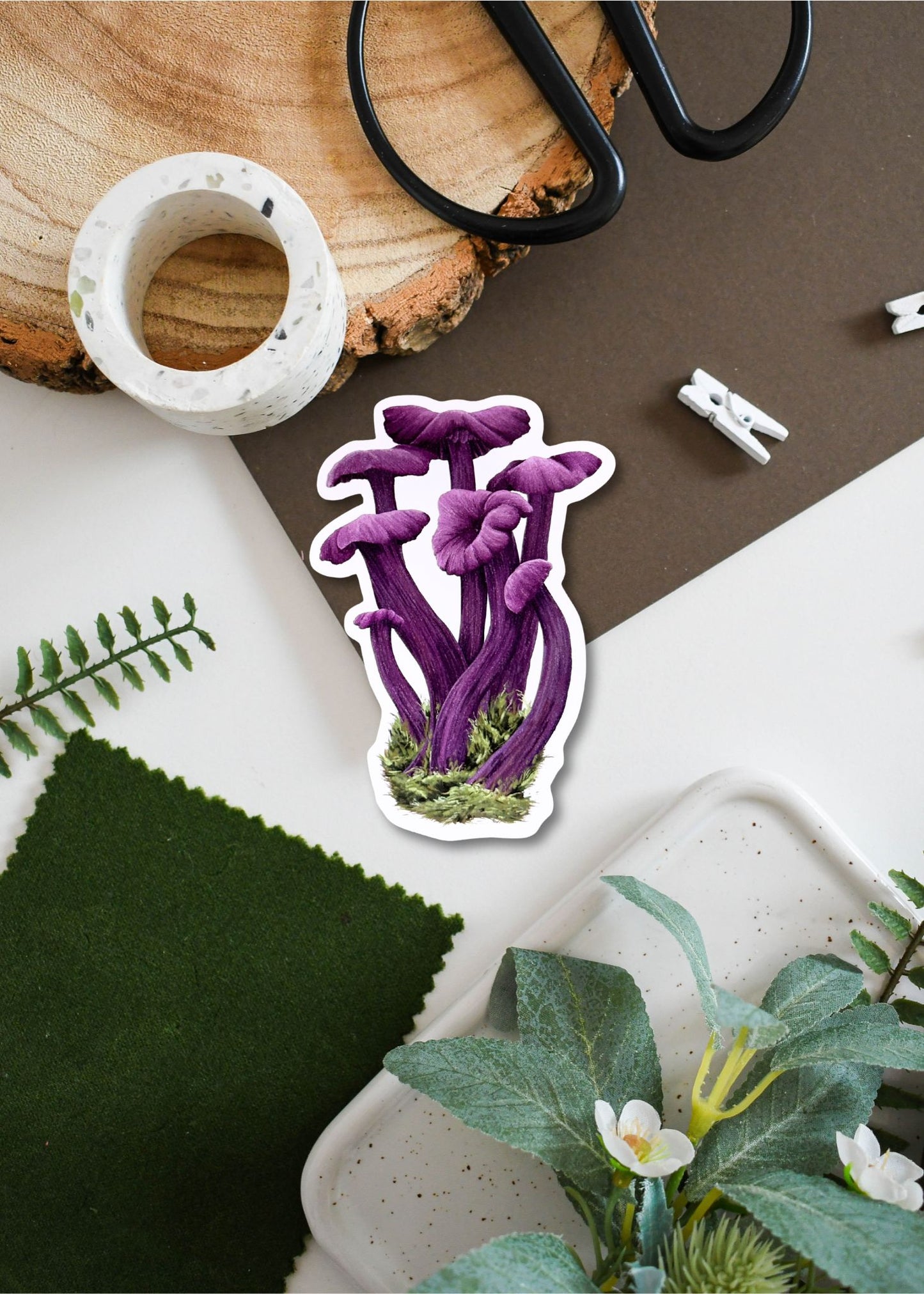 Fungi Vinyl Sticker Bundle