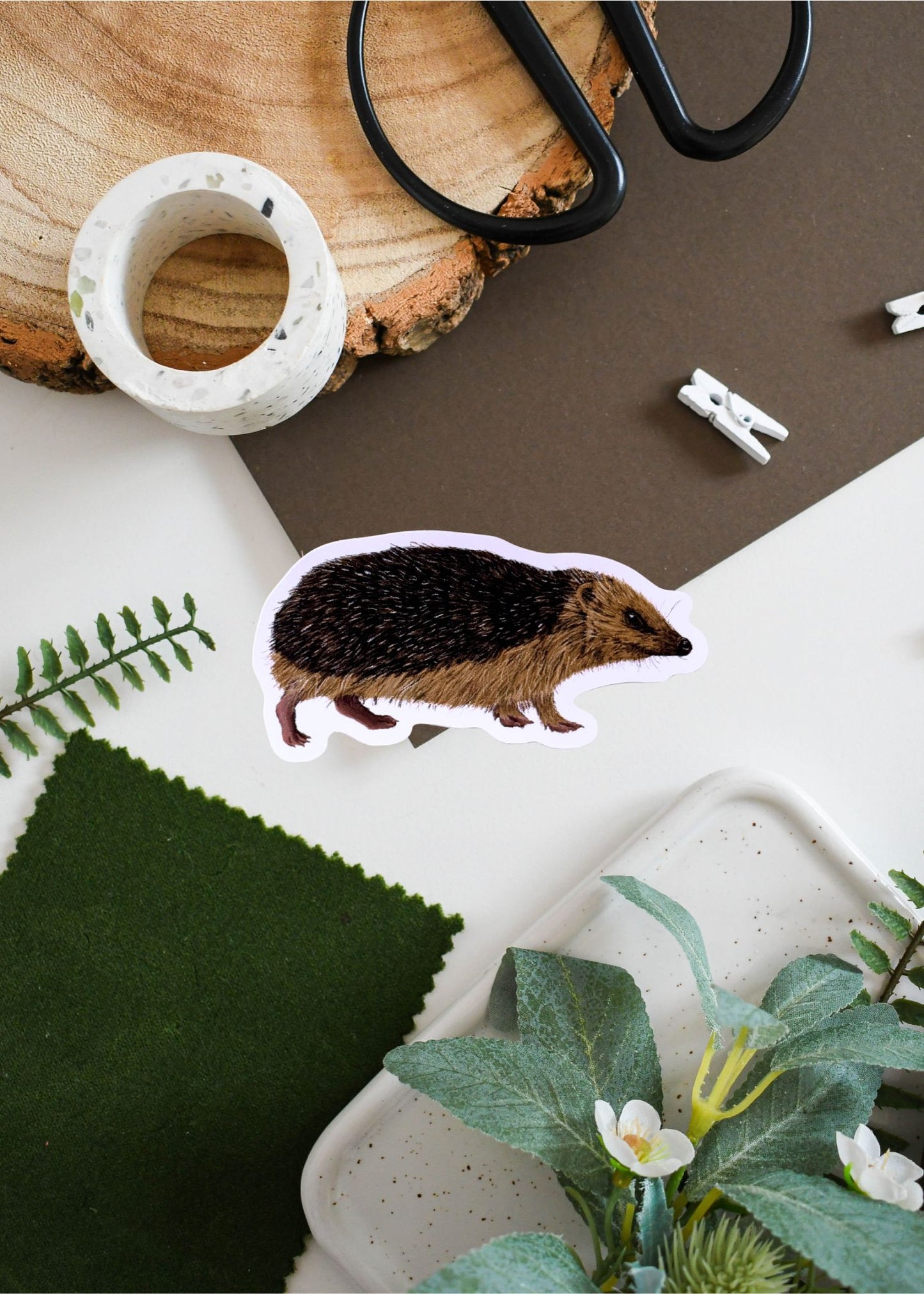 Hedgehog Vinyl Sticker