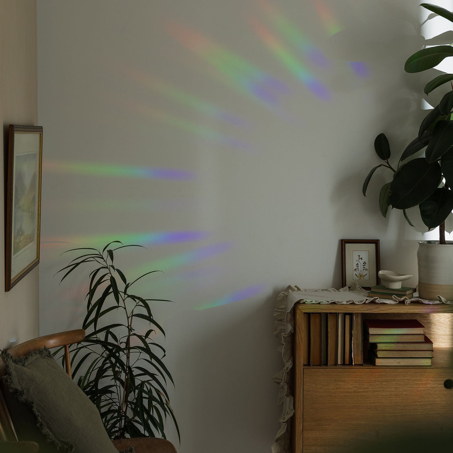Living room with rainbow light projection on the wall, books on a shelf, and plants.