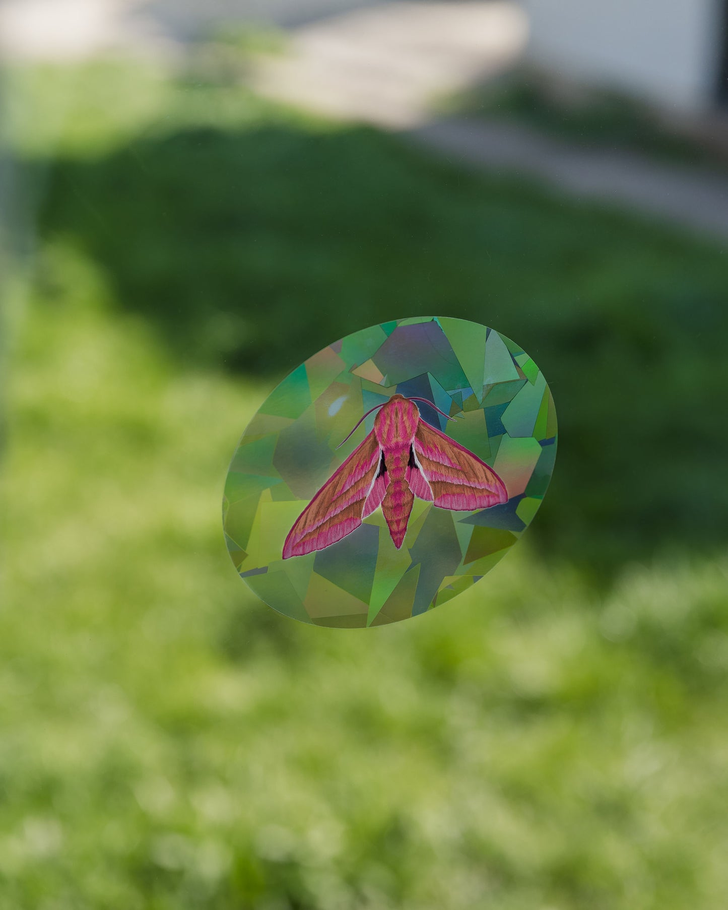 Wildlife Suncatcher Bundle of 3