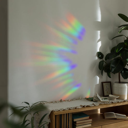 Rainbow pattern on a white wall with a wooden shelf and plant in the foreground