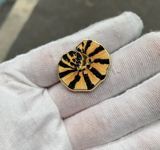 Cinnabar Moth Caterpillar Pin