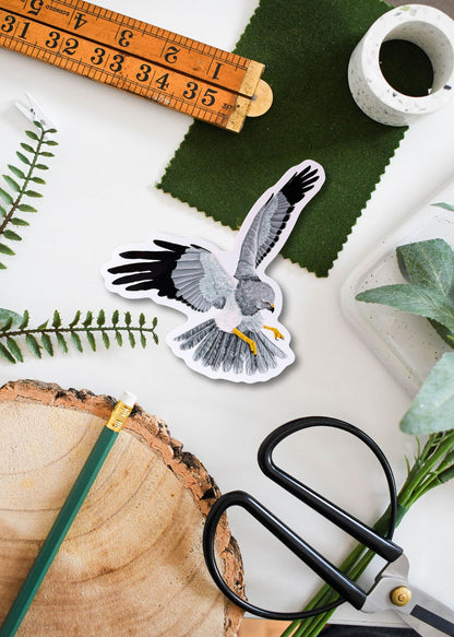 Hen Harrier Vinyl Sticker