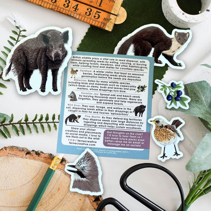 Seed dispersers sticker pack with mammal and bird stickers