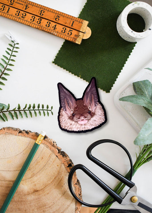 Long-eared Bat Sticker
