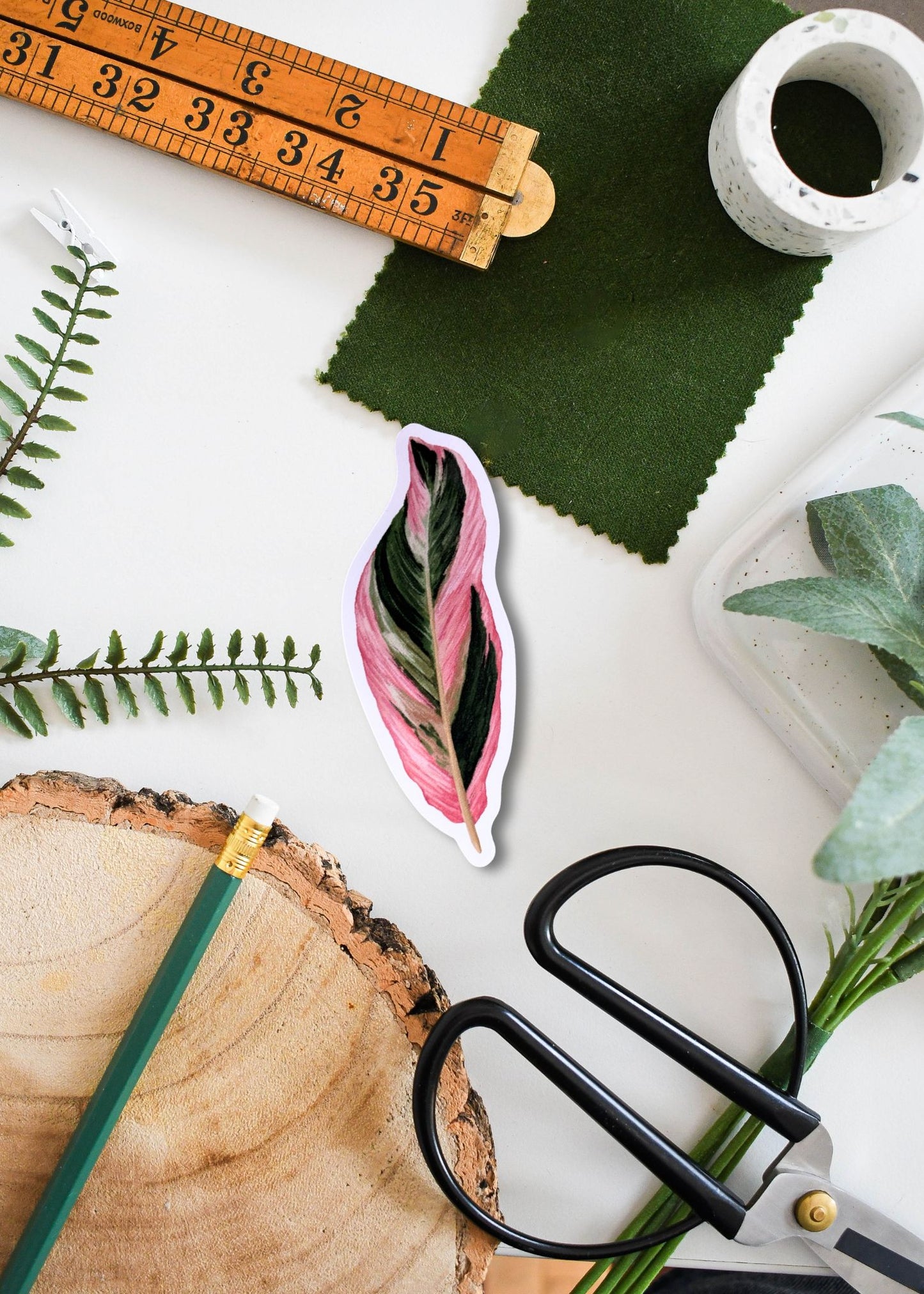 Stromanthe sanguinea ‘Triostar’ Vinyl Sticker