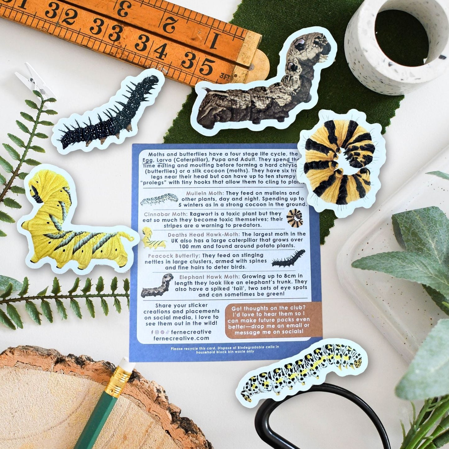 Educational materials including caterpillar stickers, a ruler, scissors, and a leafy background.