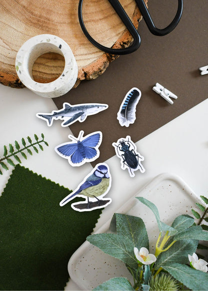 Blue Wildlife Vinyl Sticker Pack – February 26 Edition
