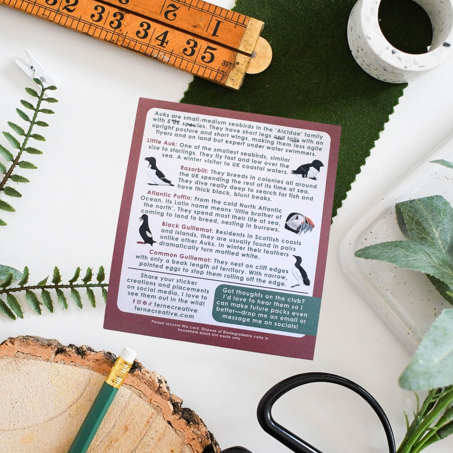 Card with text and illustrations on a wooden surface with a ruler, scissors, and greenery.