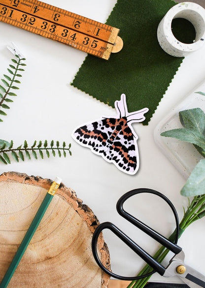 British Moth Vinyl Sticker Bundle