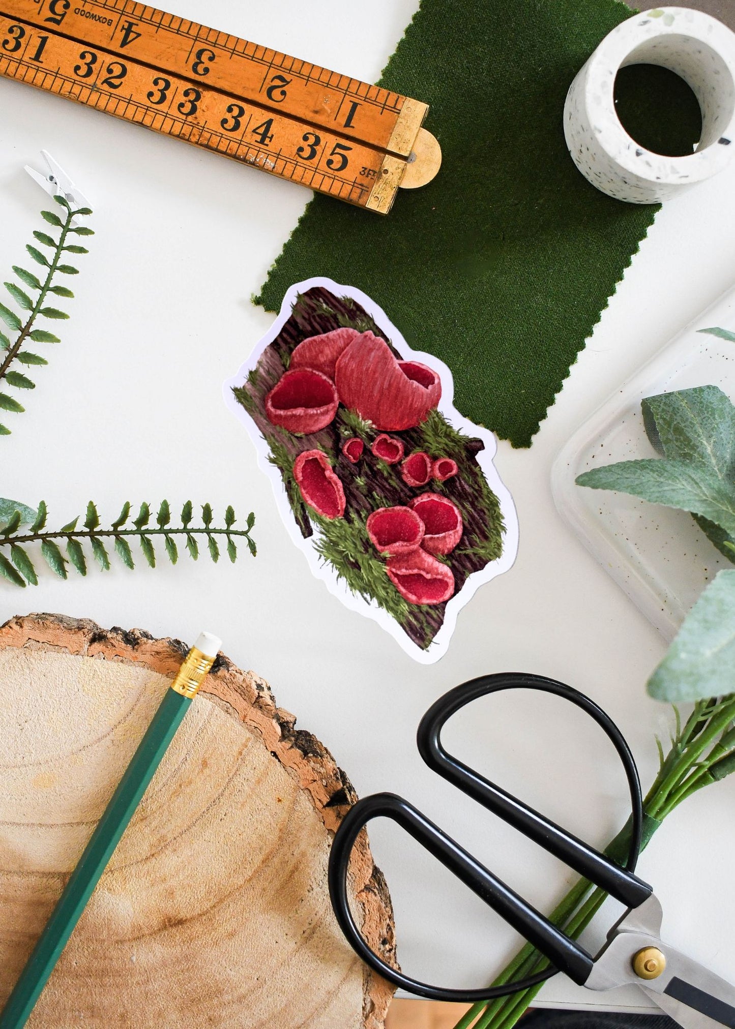 Scarlet Elf Cap Fungi Sticker