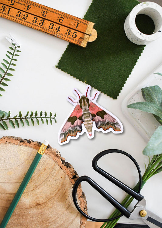 Lime Hawk-Moth Vinyl Sticker